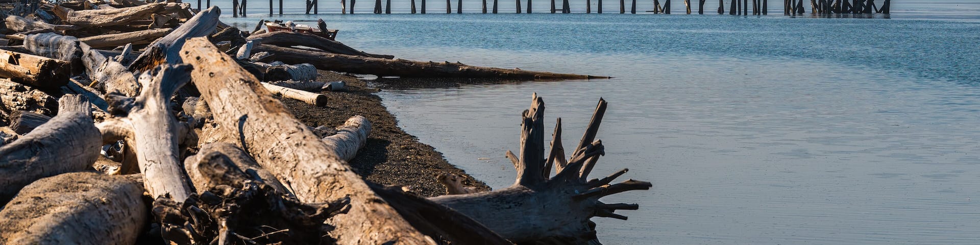 2022-12-03 THE PIER AND SHORELINE AT THE KAYAK REGIONAL PARK IN SNOHOMISH COUNTY