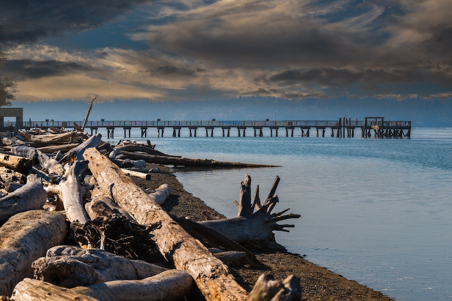 2022-12-03 THE PIER AND SHORELINE AT THE KAYAK REGIONAL PARK IN SNOHOMISH COUNTY