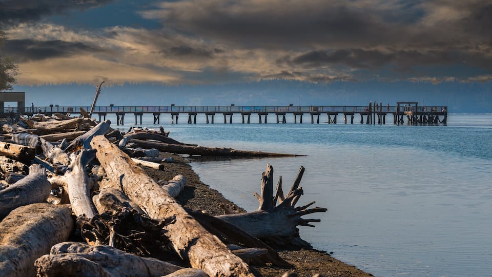 A pier extending into calm waters, surrounded by driftwood and debris.