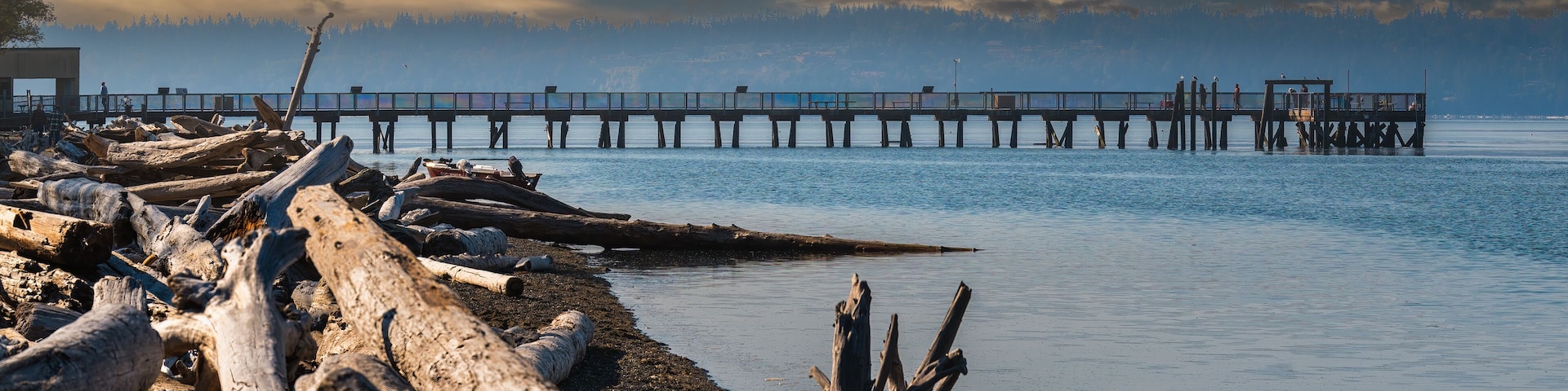 2022-12-03 THE PIER AND SHORELINE AT THE KAYAK REGIONAL PARK IN SNOHOMISH COUNTY