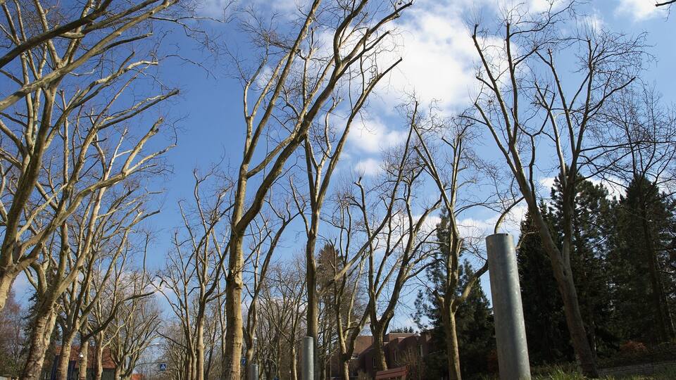 Guessed in the <a href="https://www.flickr.com/groups/gwb">Guess Where Berlin Group</a> by anoniman9876!