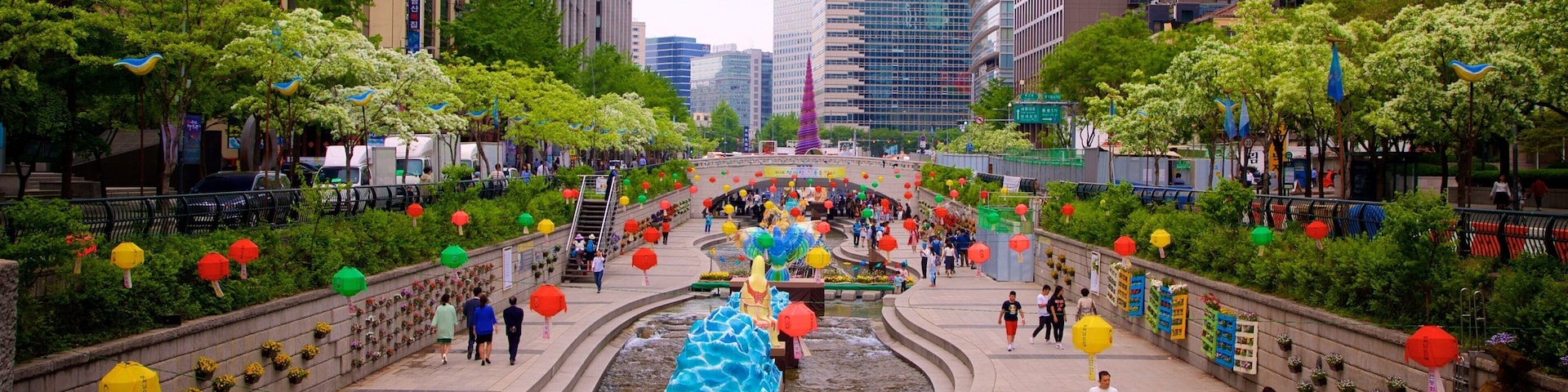 Cheonggyecheon featuring a garden, a city and a river or creek