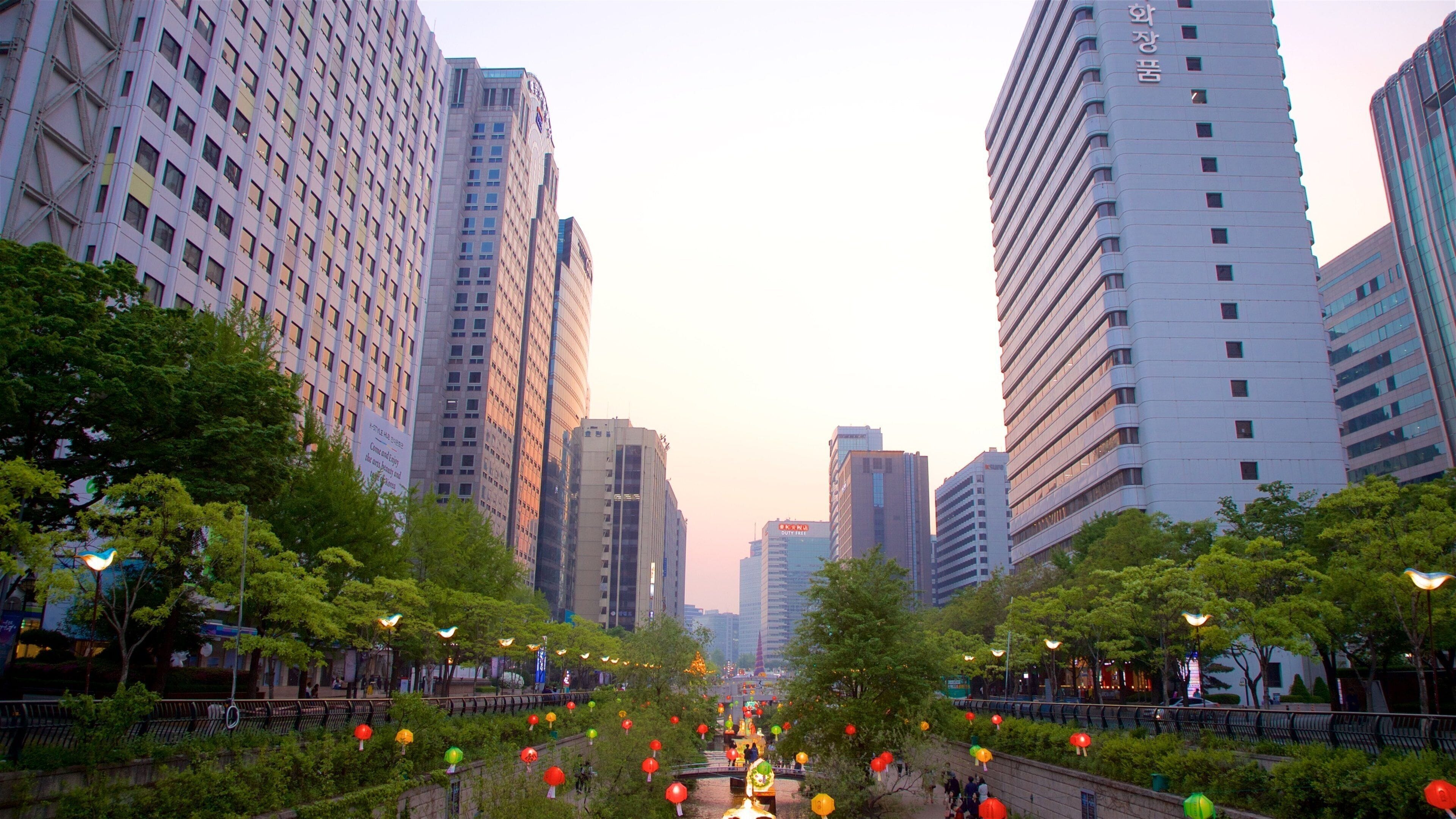 清溪川 其中包括 夕陽, 城市 和 花園