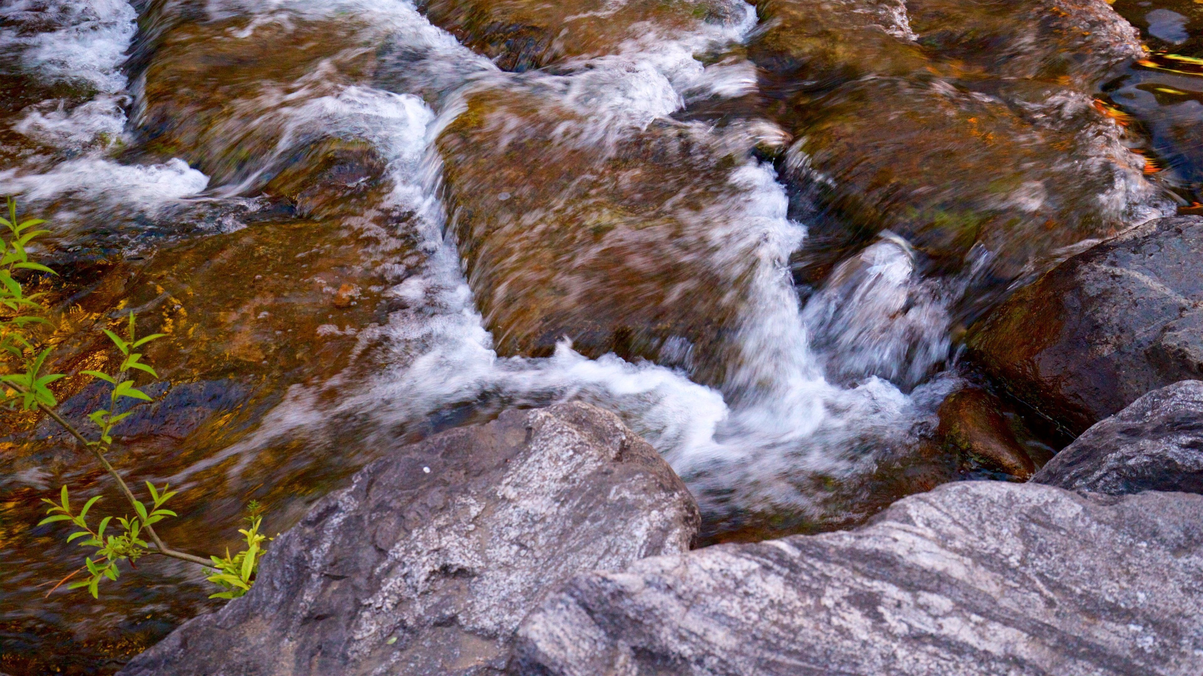 Cheonggyecheon featuring a river or creek