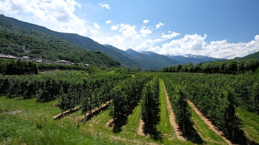 23030 Villa di Tirano SO, Italy