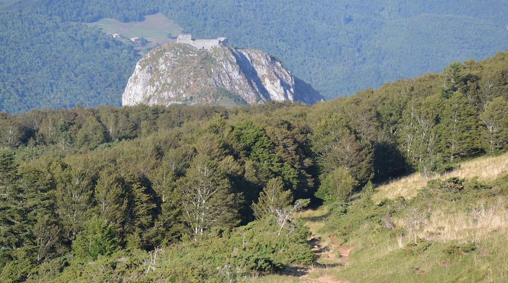 This building is indexed in the Base Mérimée, a database of architectural heritage maintained by the French Ministry of Culture, under the reference PA00093892 .