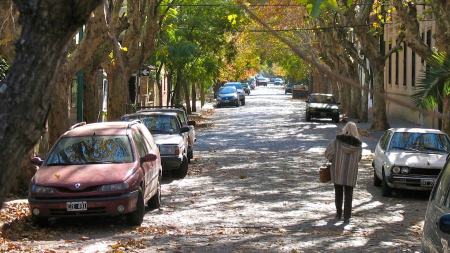 Palermo Soho mostrando imágenes de calles y también una mujer