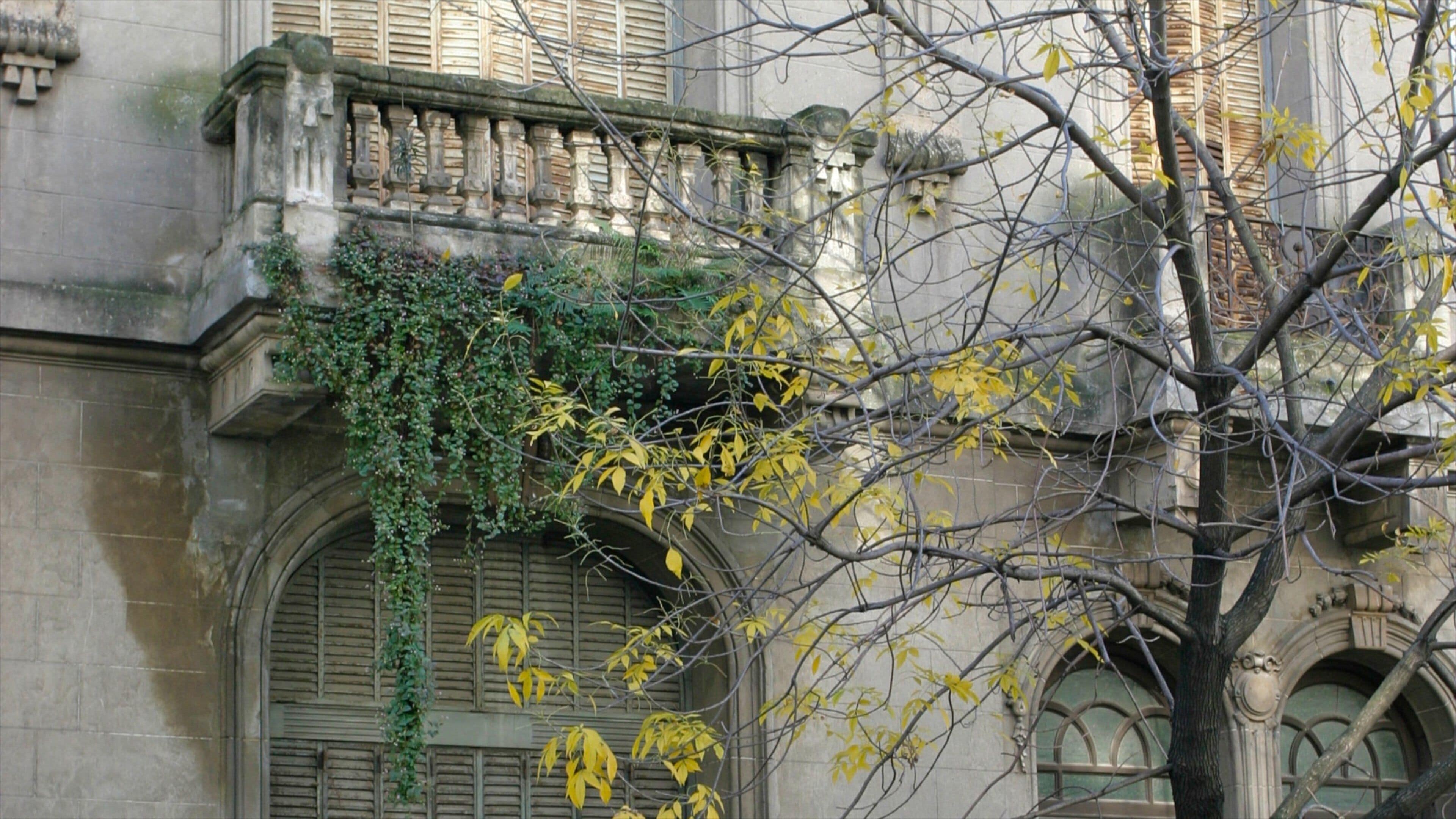 Palermo Soho cho thấy kiến trúc di sản và căn nhà