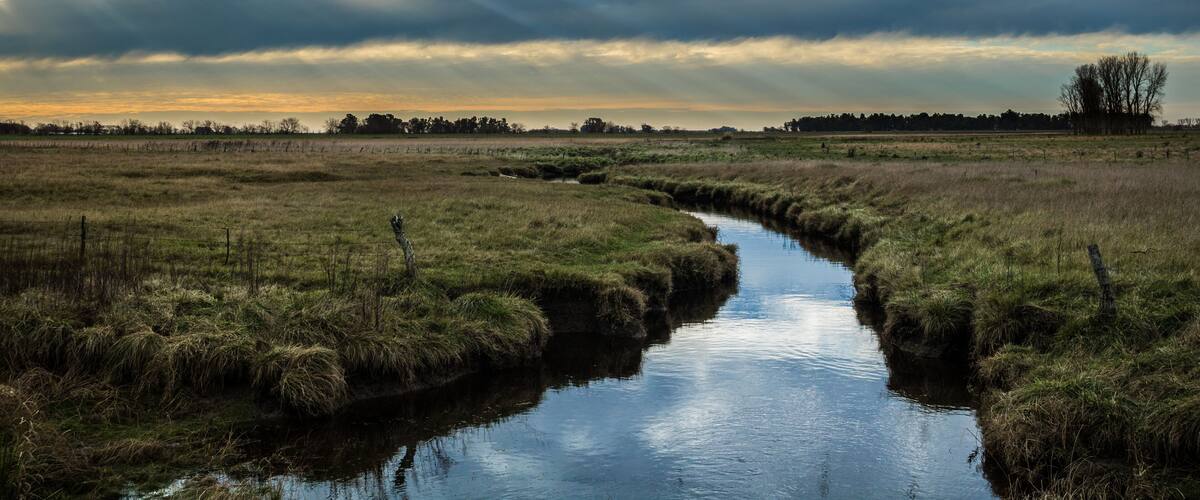 A river meandering through a marshy landscape with a cloudy sky.