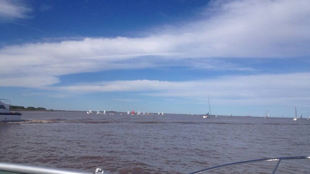 Lujan river! Near club nautico san isidro