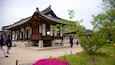 Namsangol Hanok Village which includes heritage elements, a garden and wild flowers