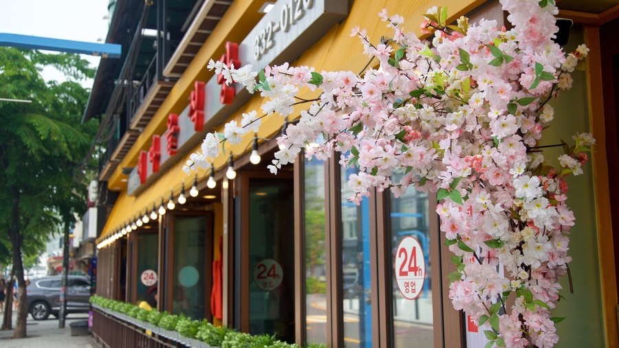 A restaurant with pink flowers and a 24-hour sign.
