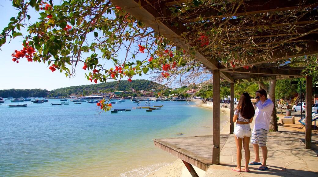 Armacao Beach which includes a bay or harbour and general coastal views as well as a couple