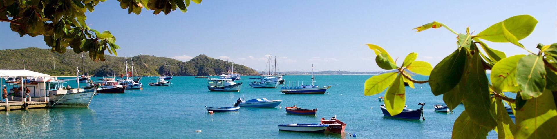 A calm harbor with numerous small boats, a sandy beach, and lush green hills in the background.