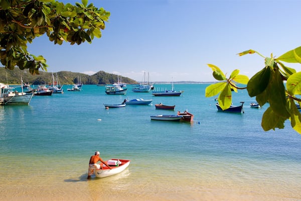Um porto tranquilo com vários barcos pequenos, uma praia arenosa e colinas verdes exuberantes ao fundo.