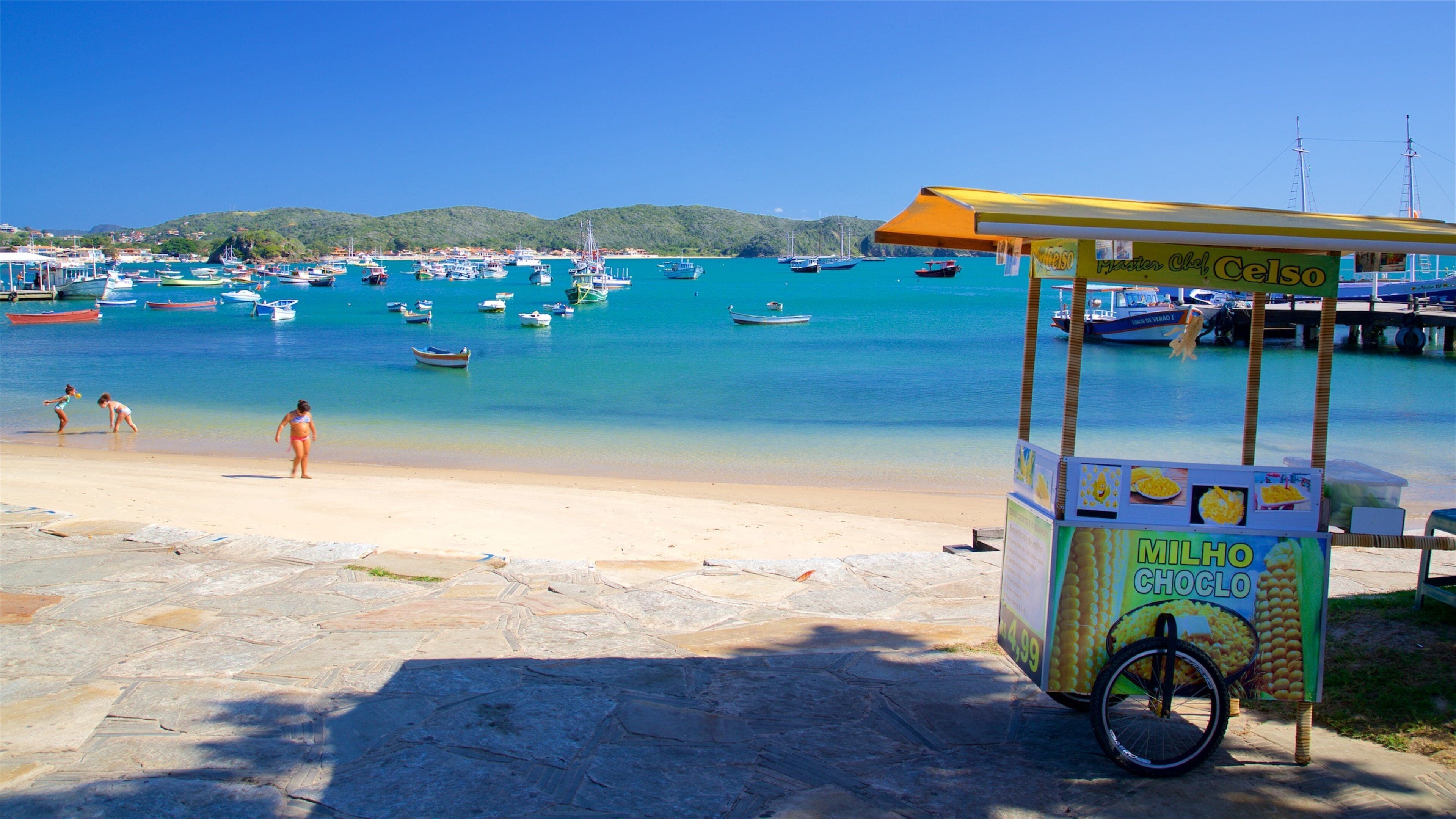 Armacao Beach which includes general coastal views, a sandy beach and signage