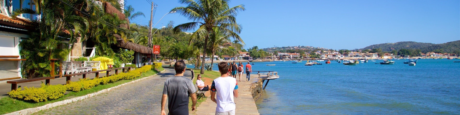 Un paseo marítimo con palmeras, un camino de piedra y vistas a barcos en el agua.