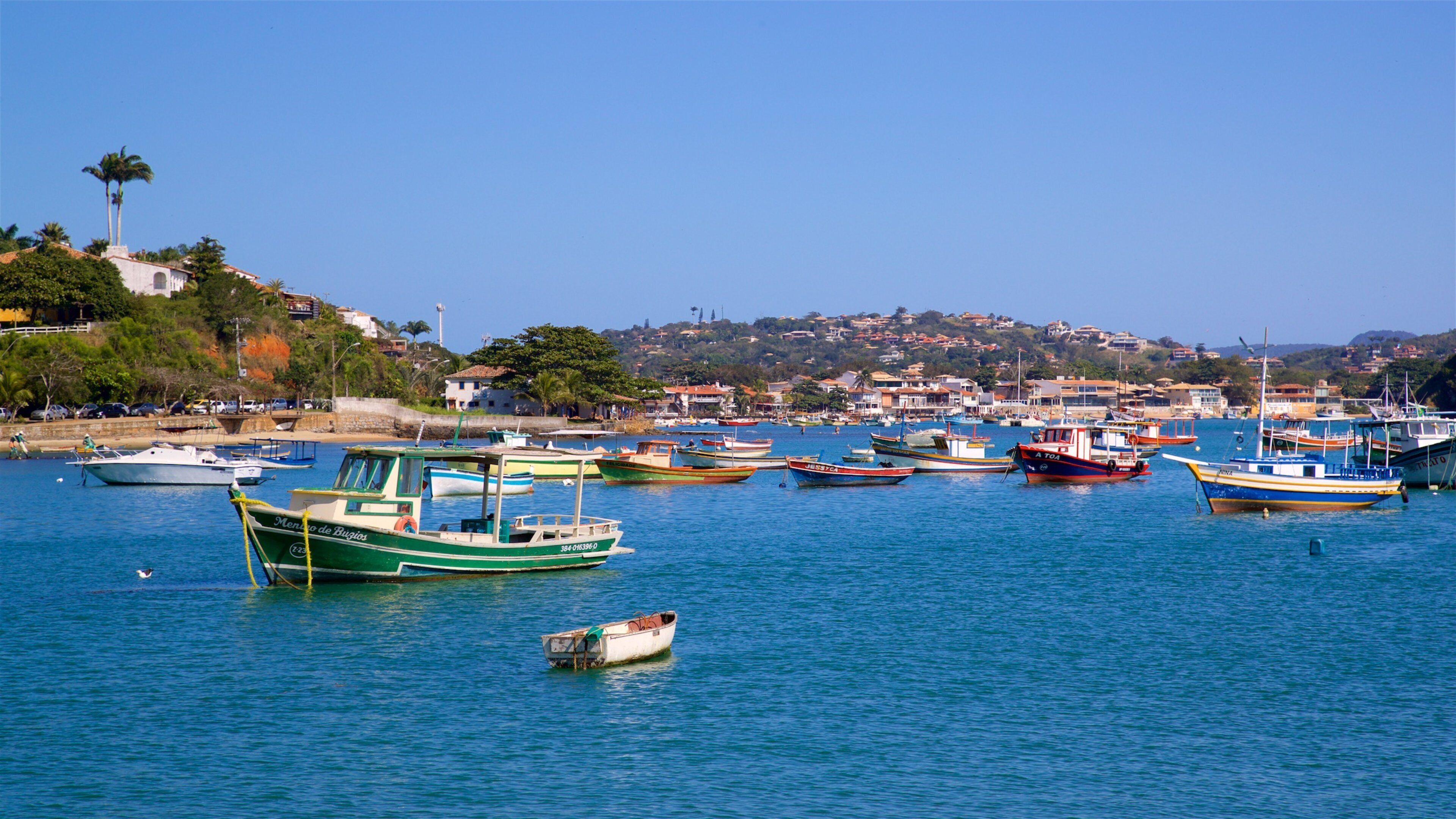 Armacao Beach showing a bay or harbour