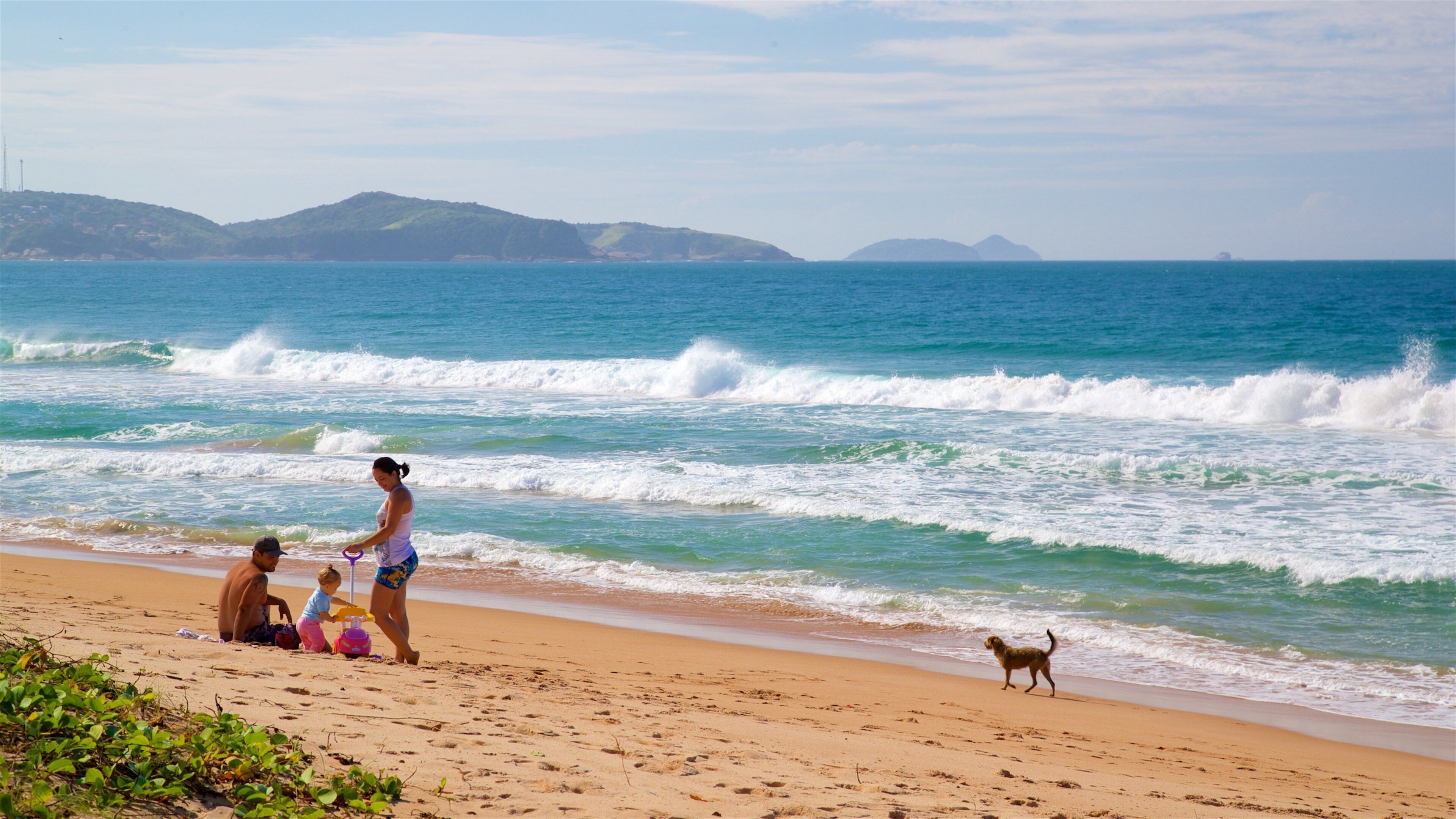 Playa Tucuns que incluye una playa de arena, animales domésticos y vistas de una costa