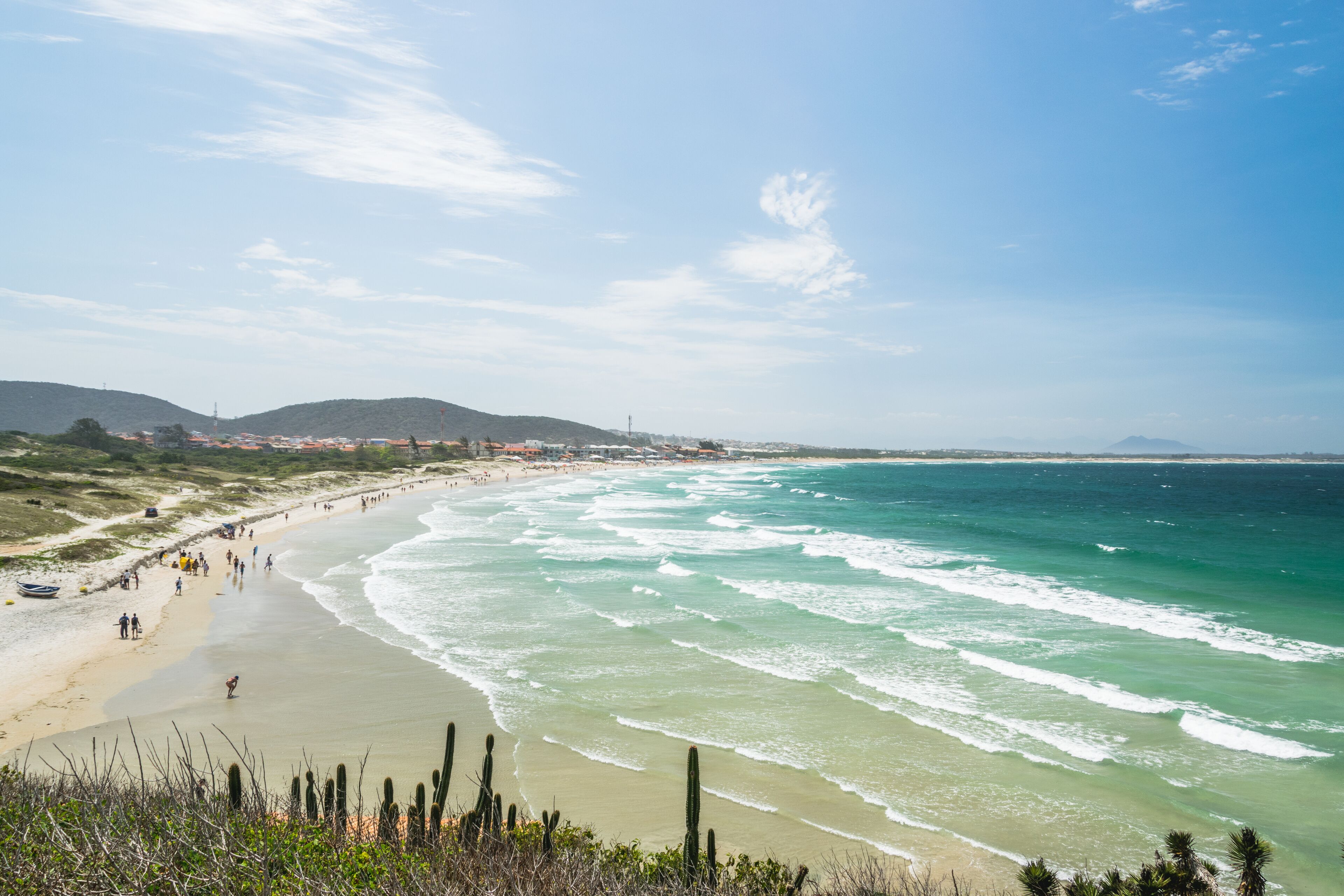 Una spiaggia costiera con onde, cactus e montagne in lontananza.