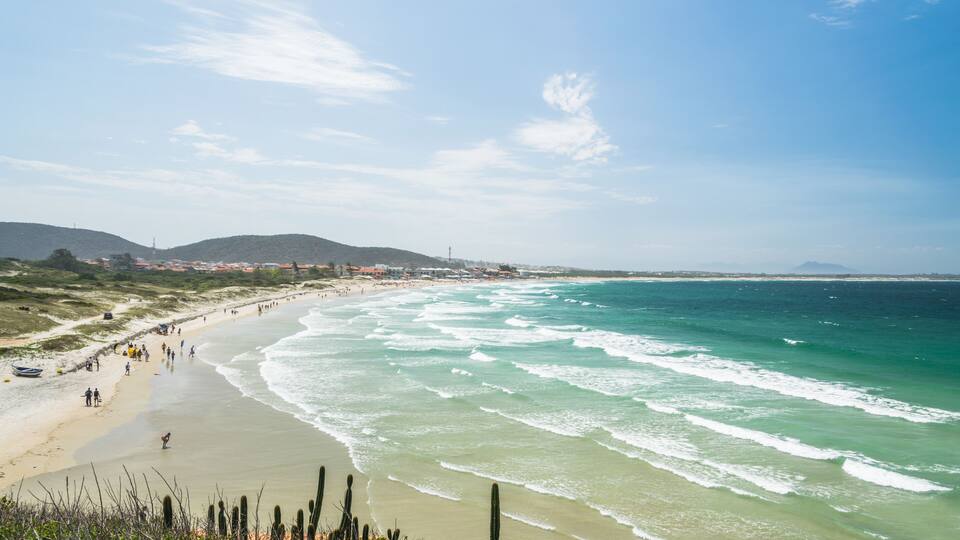 Una spiaggia costiera con onde, cactus e montagne in lontananza.