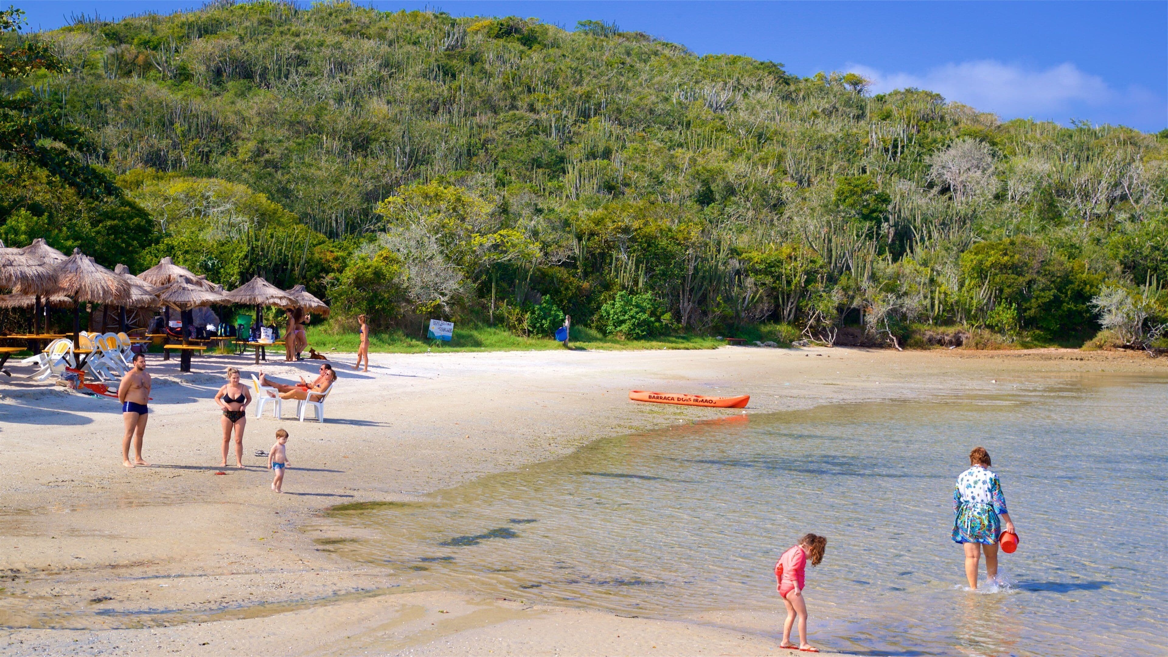 Japansk øy som inkluderer strand, svømming og kyst