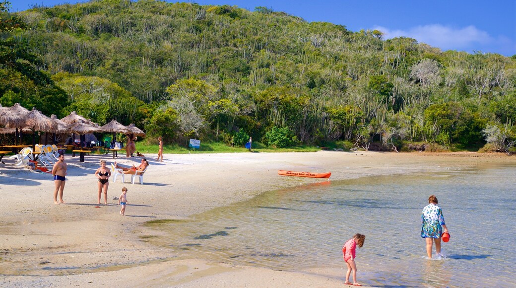 Japansk øy som inkluderer strand, svømming og kyst