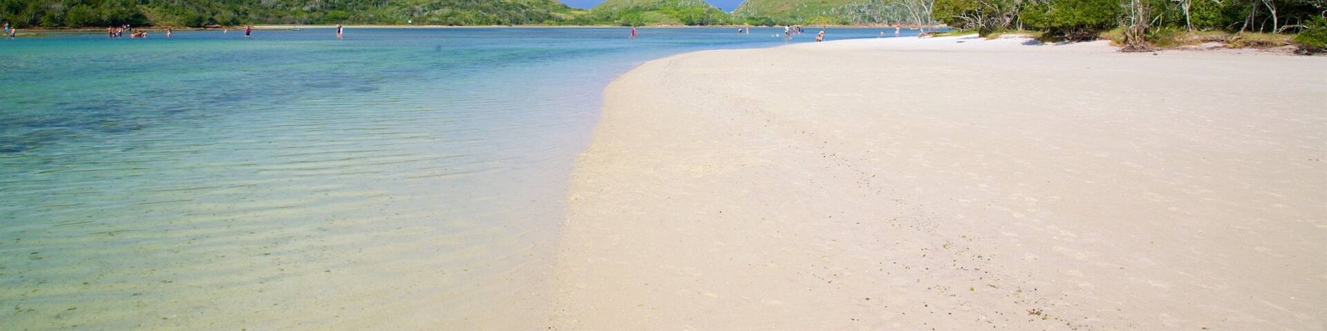 Japanese Island showing a sandy beach and general coastal views