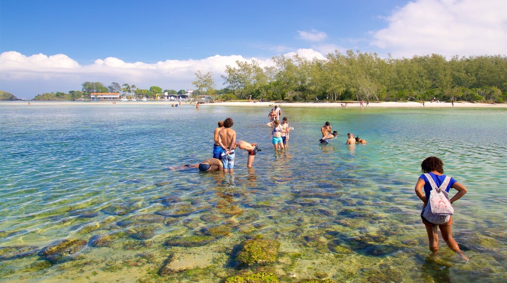 Japanese Island showing general coastal views and swimming as well as a small group of people