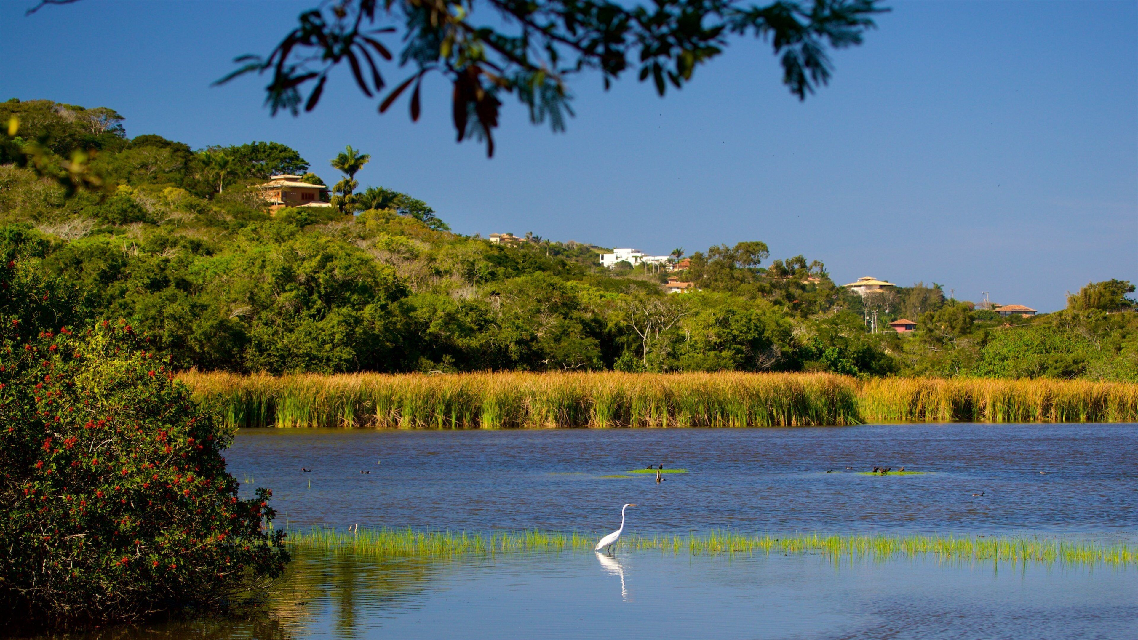 Ferradura Lagoon featuring wetlands