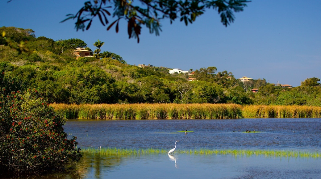 Ferradura Lagoon showing wetlands