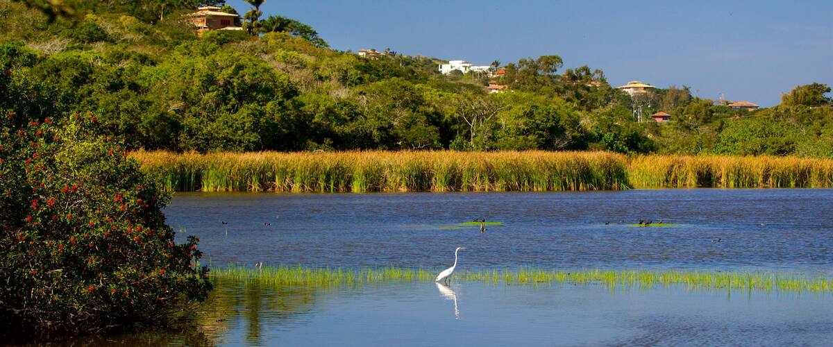 Ferradura Lagoon showing wetlands