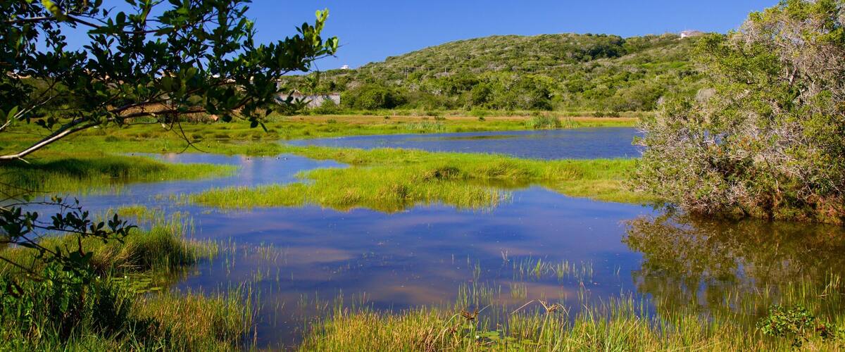 Ferradura Lagoon which includes wetlands