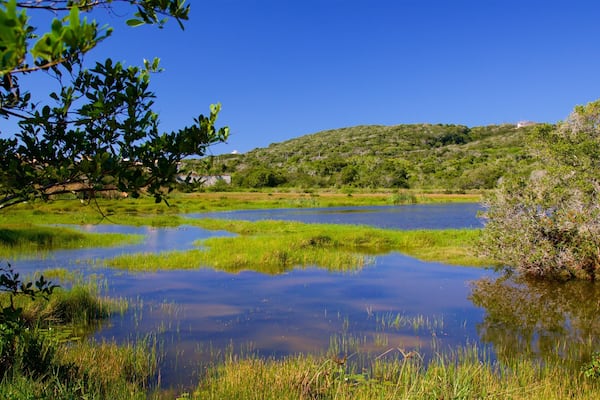 Ferradura Lagoon featuring wetlands