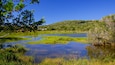 A calm lake surrounded by lush greenery and hills.