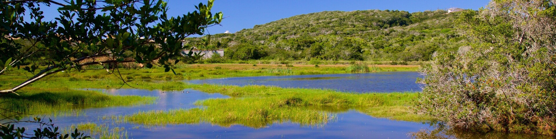Lagoa da Ferradura que inclui pântano