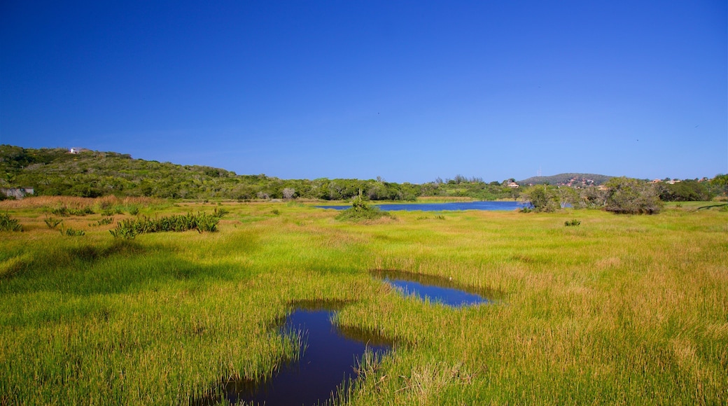 Ferradura lagune som viser myr