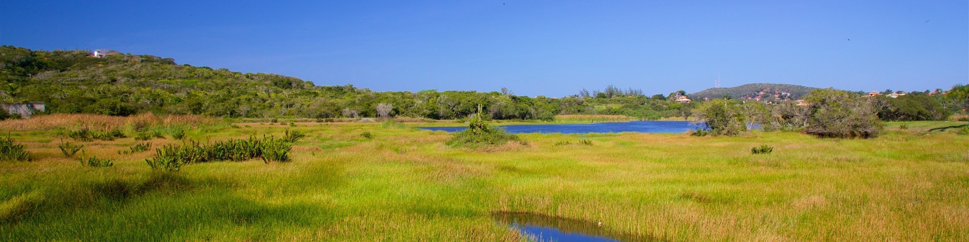 Ferradura Lagoon featuring wetlands