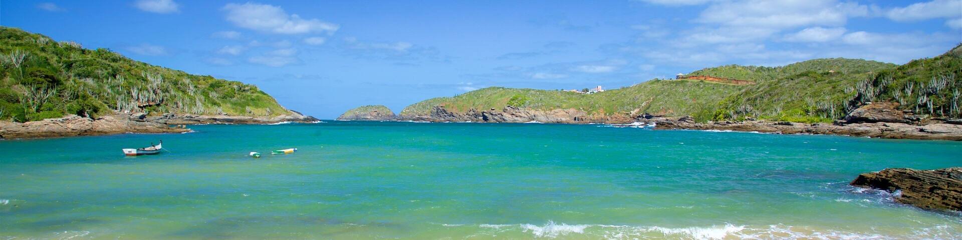 Forno Beach showing general coastal views and a beach