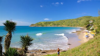 Brava Beach featuring a beach and general coastal views