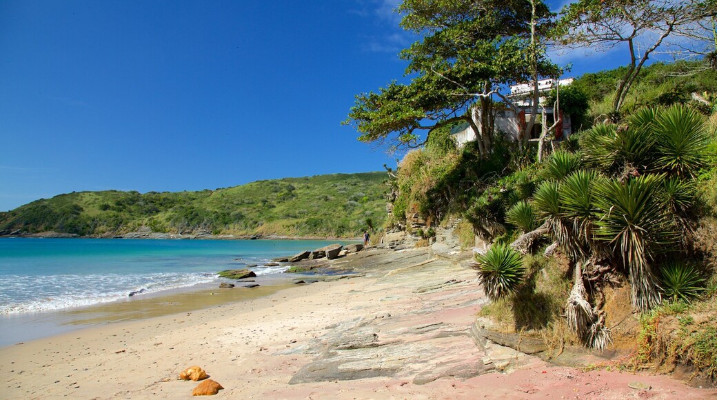 Brava-stranden som inkluderer kyst og sandstrand