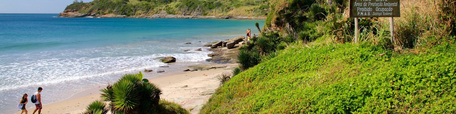 A beach with clear turquoise water, a sandy shore, and lush greenery.