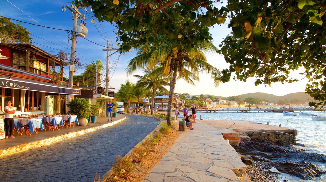 Orla Bardot som inkluderer kystby, kyst og tropisk landskap