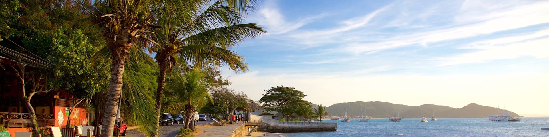 A beach with palm trees, a stone walkway, and boats in the water.