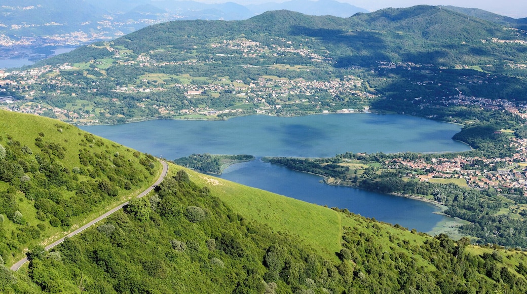 ファッジェート ラーリオ