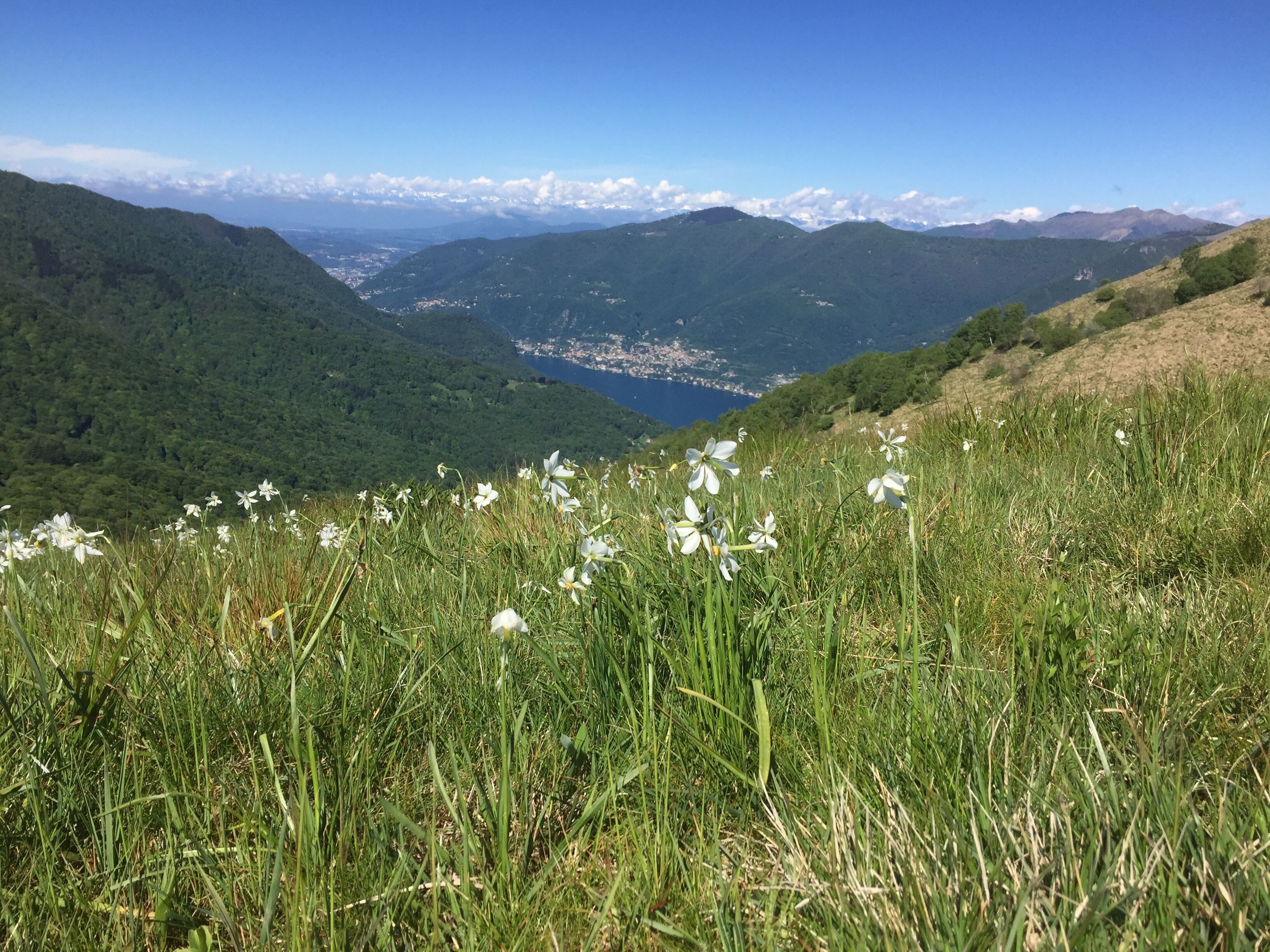 Triangolo Lariano (Q47477655)