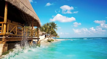 Centro de Playa del Carmen