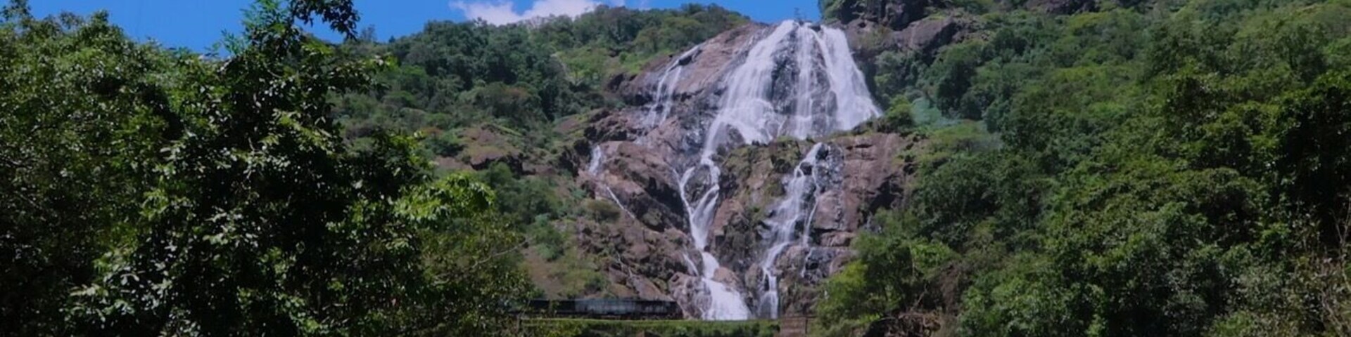 Una cascada fluye sobre un risco rodeado de exuberante vegetación.