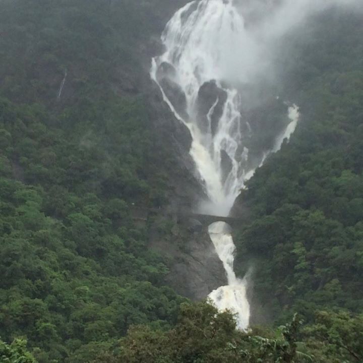 Doodhsagar fall in monsoon- can you se the railway track through the waterfall?