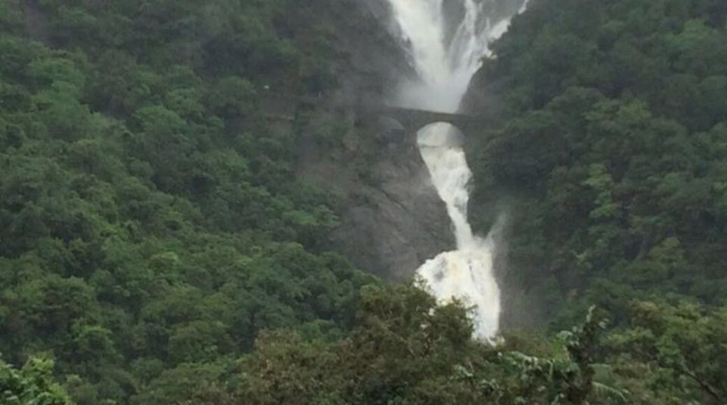 Doodhsagar fall in monsoon- can you se the railway track through the waterfall?
